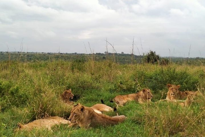 nairobi-park